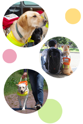 盲導犬とは？