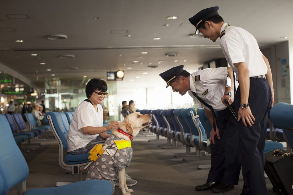 補助犬法