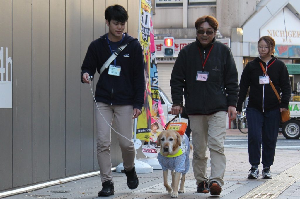 盲導犬体験会