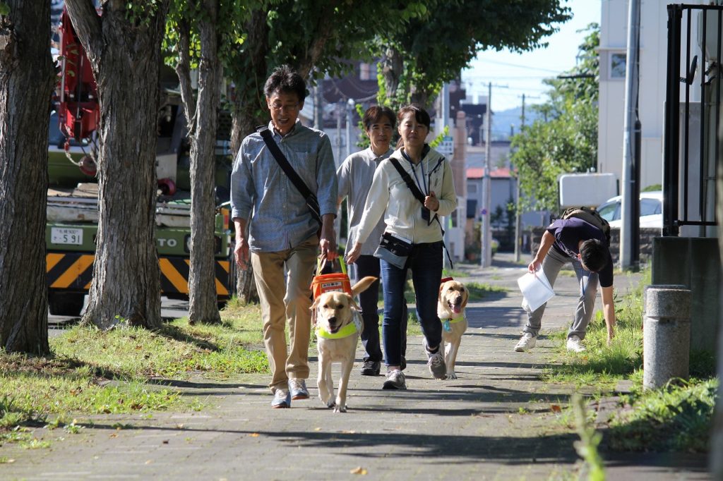 盲導犬としての活躍